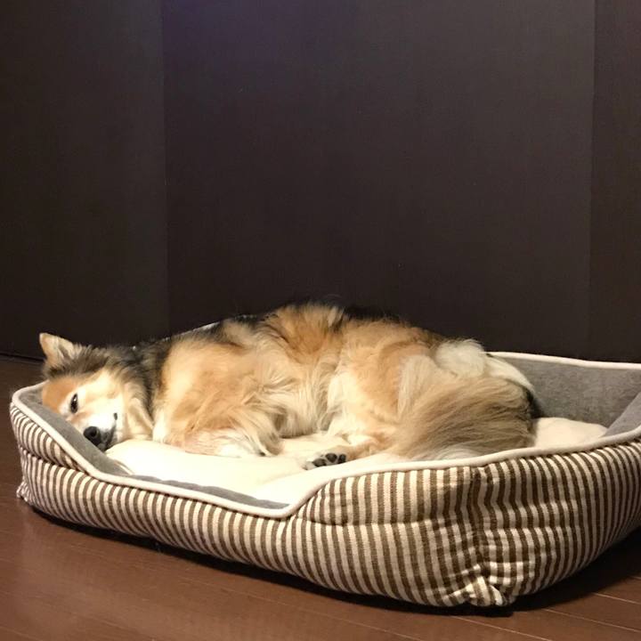 B149a900 c226 48a3 ac91 20c6841ac7d6 1592226249849