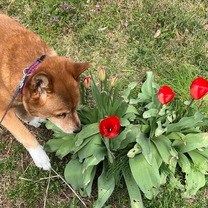 B149ded0 1f01 4a4b b39c bafb9996056f 1743994370362