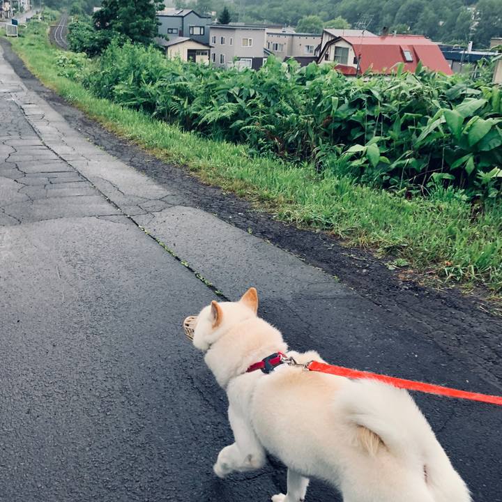 B149fc2c b4df 43a9 adeb 308ba2e529e7 1593377931683