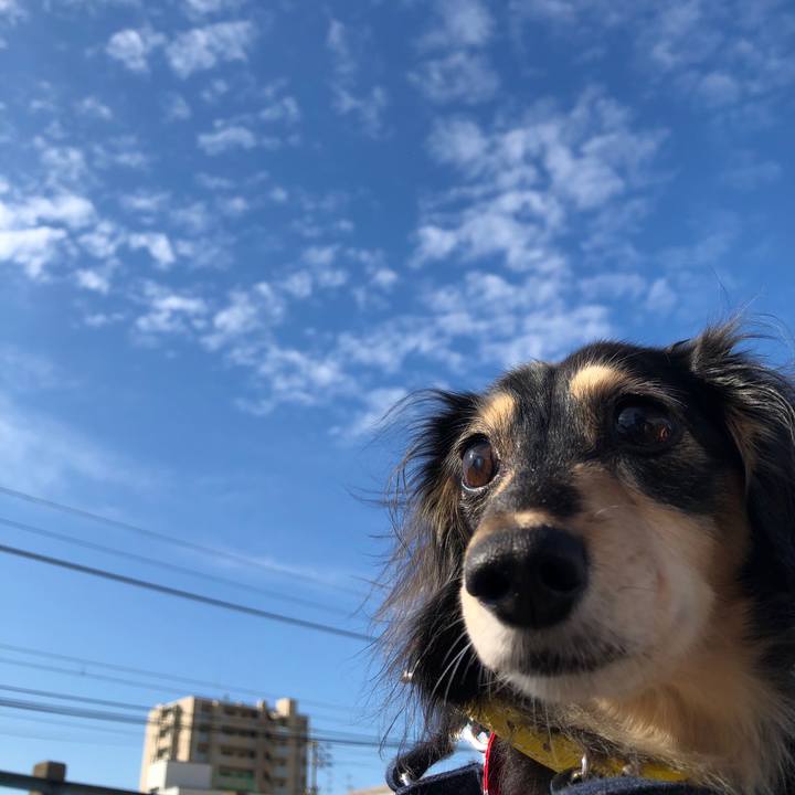 B14a13ef 9e21 47bd aab4 c678bcda1e44 1602807782395