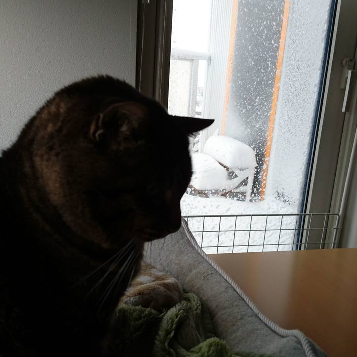 B14a21f0 5306 496d b611 8a4484dd4737 1544156604782