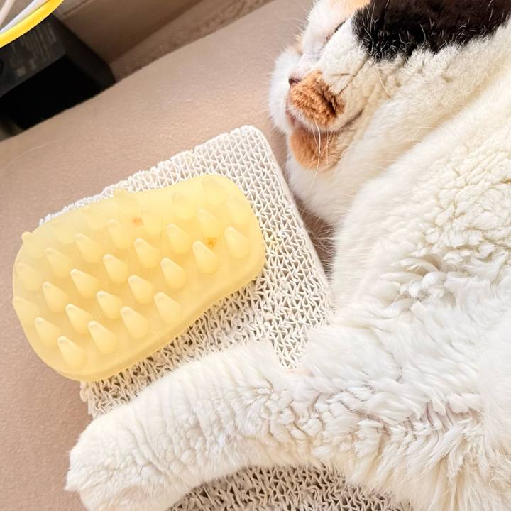 B14a5ac8 7db6 440f 9953 082d3117c661 1762952507336