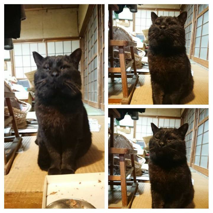 B14a68aa fa0c 4b87 9c0d 3978c6c1b07f 1617099573012