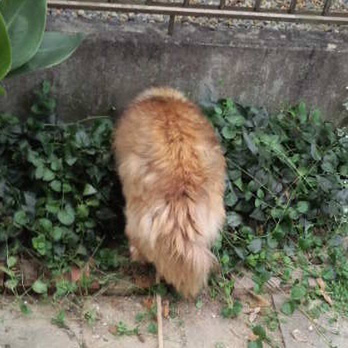 B14a73cc 3245 4f2b 9203 67c6c4c08705 1569293108569