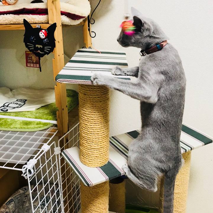 B14a9774 fb81 40ff b3c1 3bba0c59d6ba 1515450836250