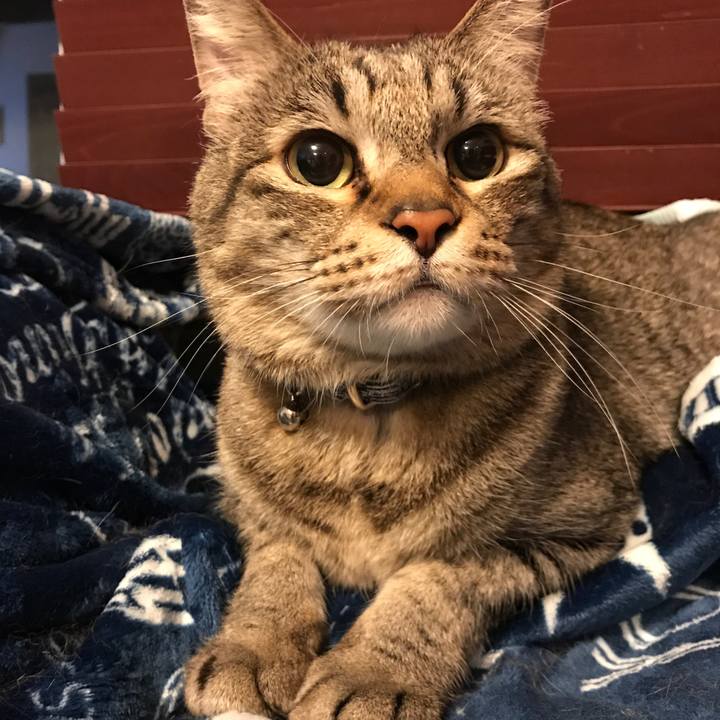 B14ac2c3 9561 4fc2 b16b f959948e80d2 1558819828592