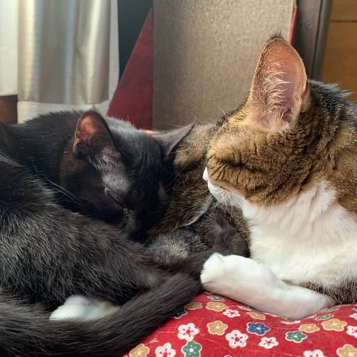 B14ac688 ad85 49c9 87a0 deaaa362c4a6 1645841930366