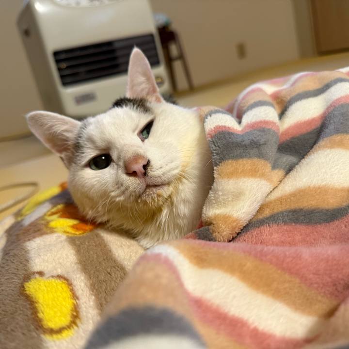 B14acfd5 4546 46bb a3e0 6117d3b98893 1762813971595