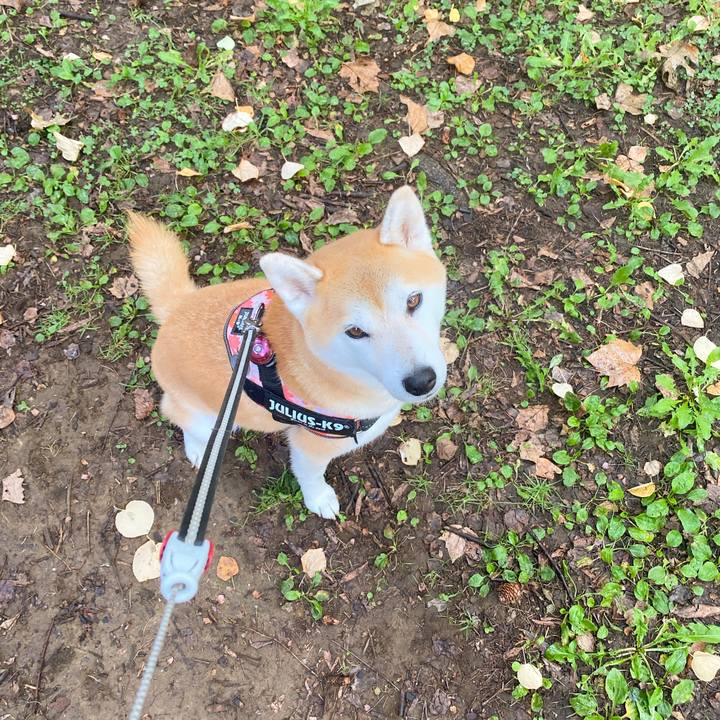 B14ad214 b3c0 43ad 848a f61b3df0bb66 1601252731542