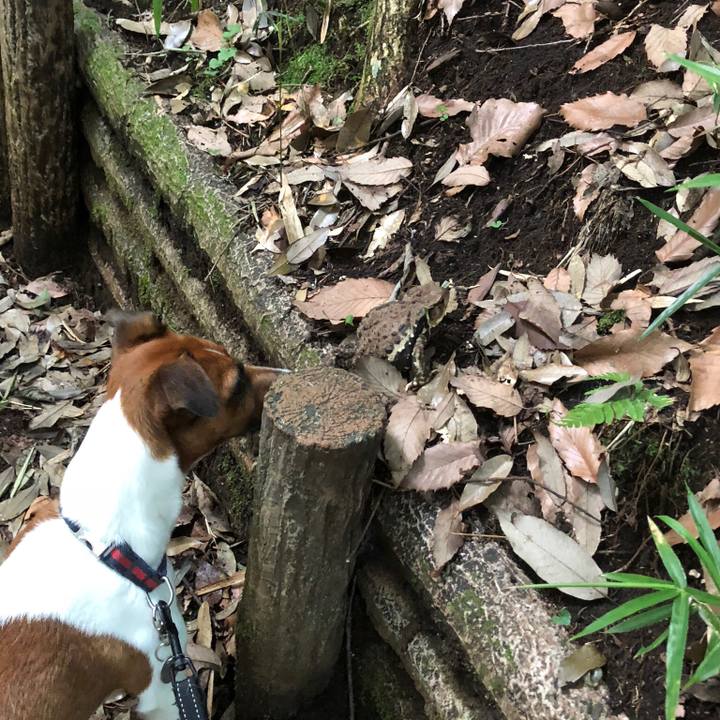 B14aece8 256e 4b2f a812 7b7704c2eb1d 1532386975600