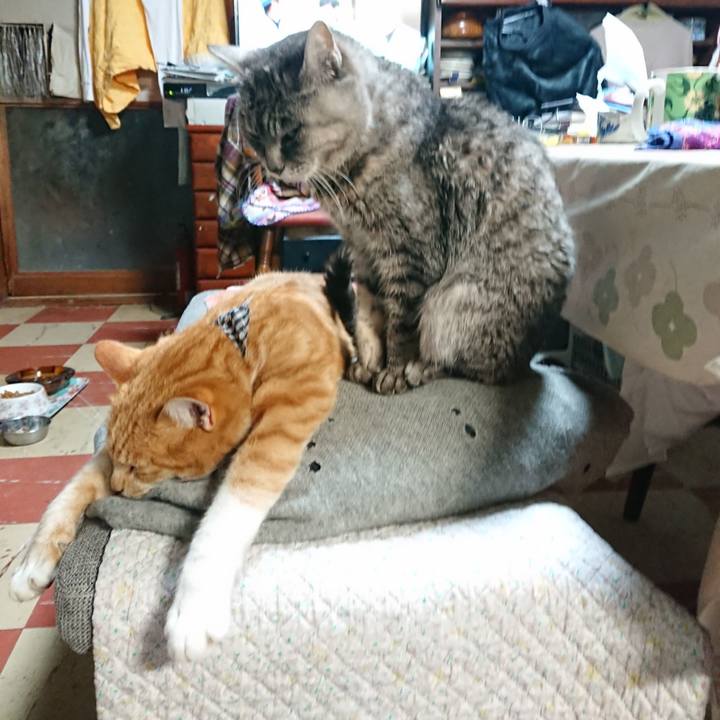 B14af6af 5d1d 42ef 8527 9d93ab063d69 1575796082523