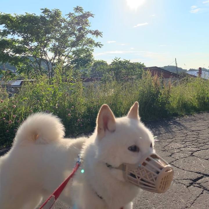 B14b379d 59bb 4eaf 9f37 d165c404da38 1560893317354