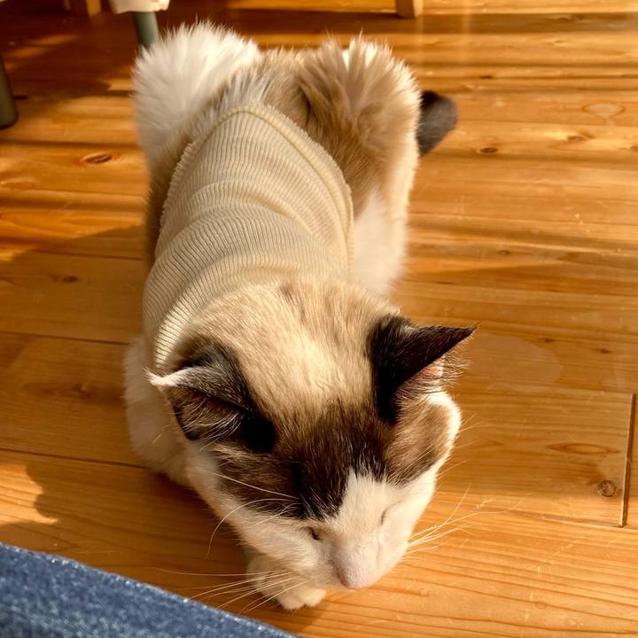 B14b3e43 1781 4047 b8b5 aa9fa12a604c 1677483388410