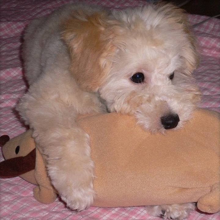 B14b89a8 10bc 415f a79c 0626a8bf6780 1535715448994