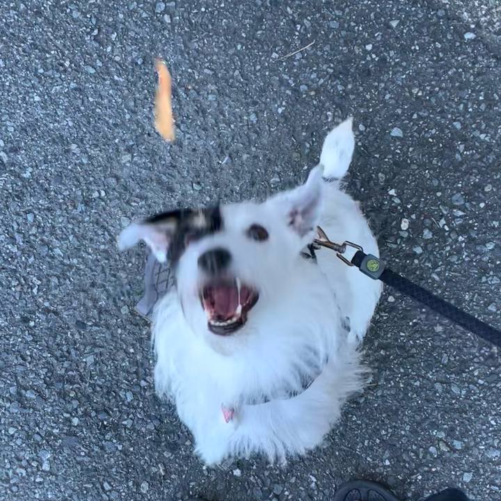 B14b8d65 7eed 441d 9dda 913698e371de 1692917447410