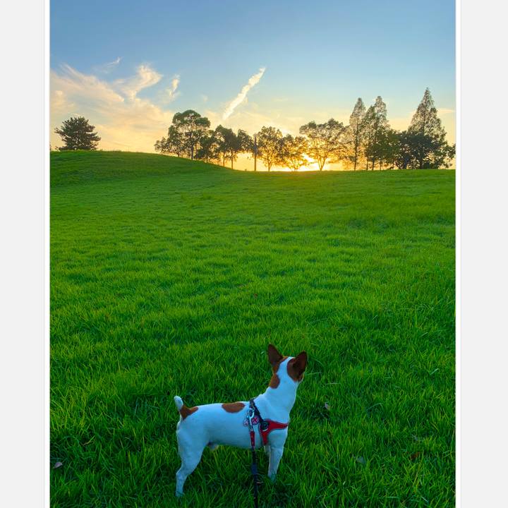 B14bcb82 2796 4b29 b957 152d7ec76052 1566819407416