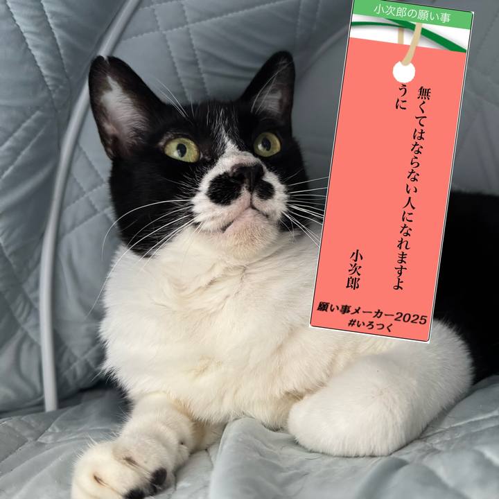 B14bcee3 9eda 4212 bc8e 377417df4ae5 1751861780673