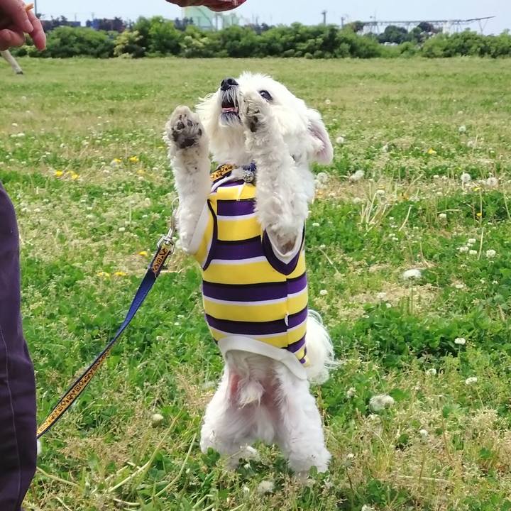 B14c0208 5014 44e8 b23a 9ef6e0739c92 1682316727742