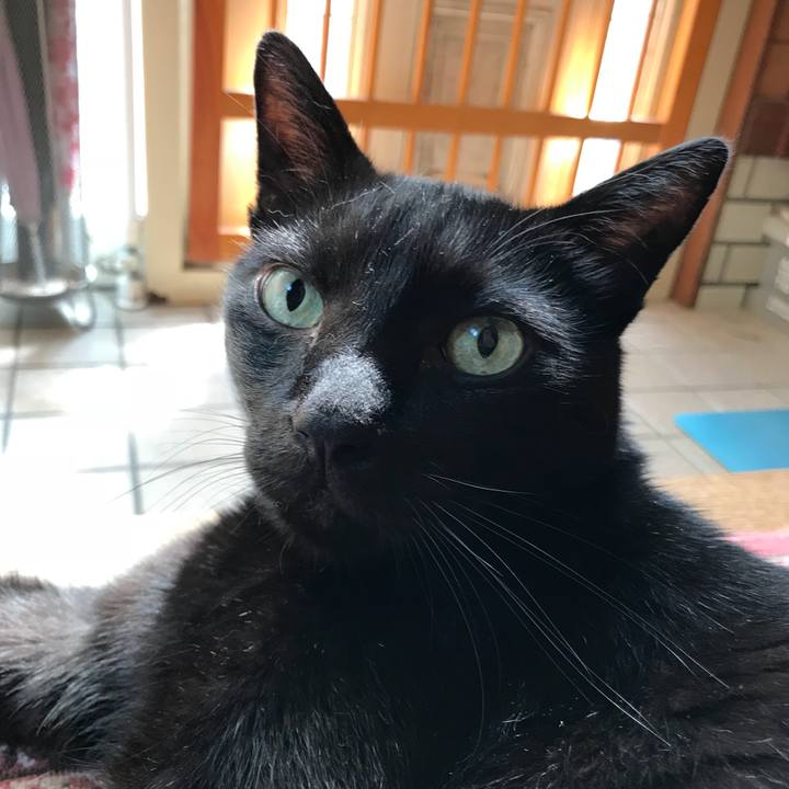 B14c1084 c9b3 4b97 b471 bcf72e4e6903 1534722725902