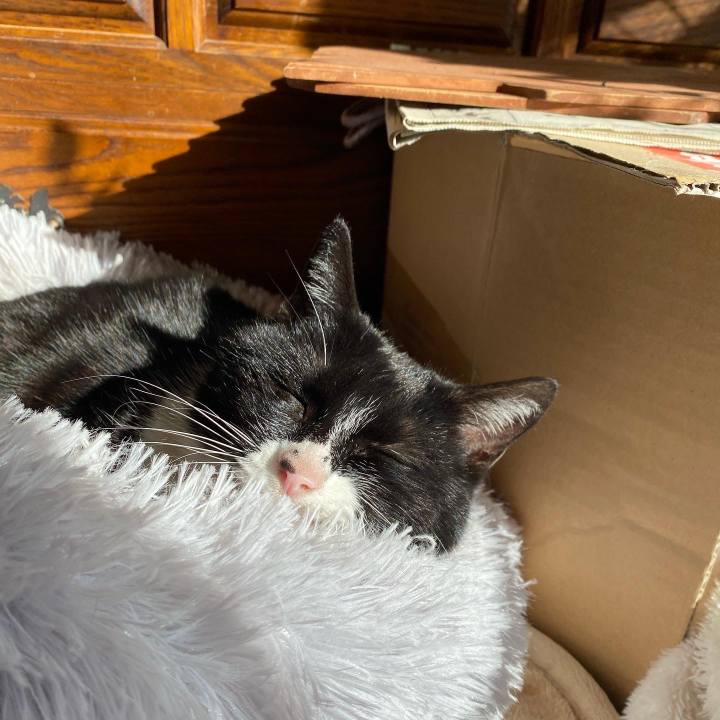 B14c1ab9 22db 4d0b b1fe 510927b87e0b 1672631788772