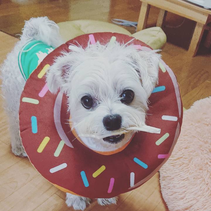 B14c1ef9 52a4 4ab5 871e cf2ccd757043 1602425924502