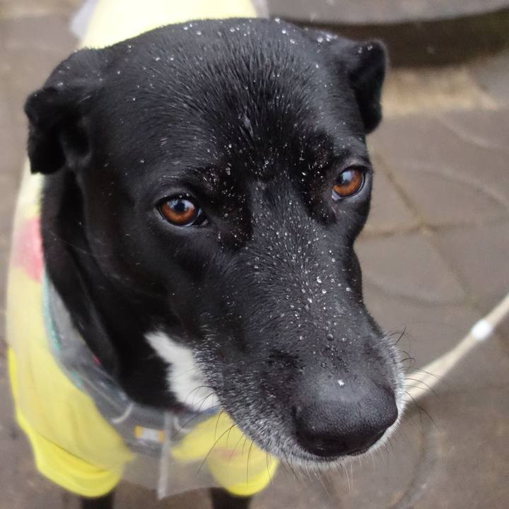 B14c2a12 13fc 4a3c b33e cadb80231d6f 1644452192162