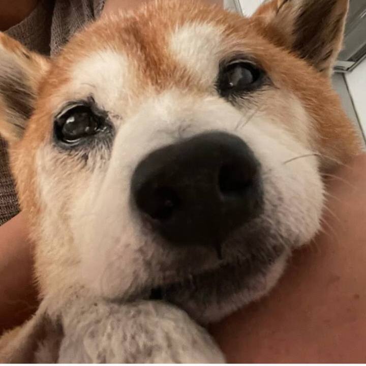 B14c2ebb 778d 4018 9221 3c1c701586a7 1631415616269