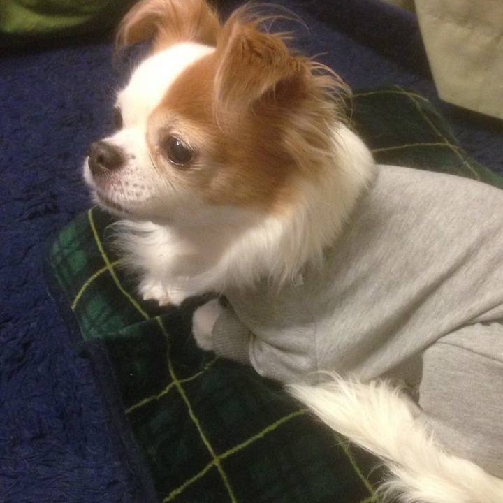 B14c4677 de33 4f83 b24f 31216456038e 1528978905557