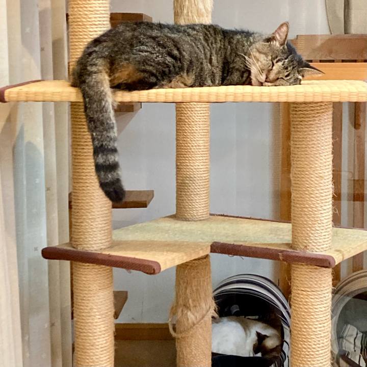 B14c76ba 3bf5 4766 8d42 c97b9081bd58 1675591731721