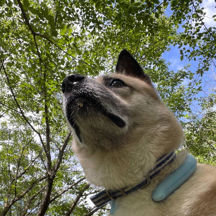 B14c87ef 40b7 4d7c 833e 07b1952b652a 1720352689090