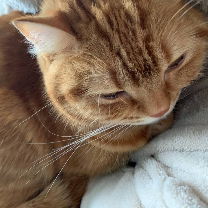 B14ca259 3dd0 4fd8 ae51 7c6580495d05 1641083030119