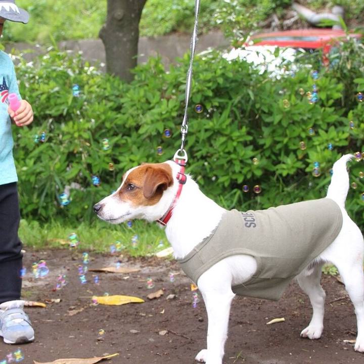 B14ceb5d 79fb 46d6 a56b 4f686d762086 1525438347574