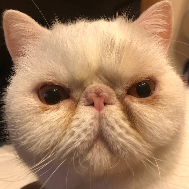 B14cf96f f54e 40f1 80b6 a330108dd70d 1663842034435