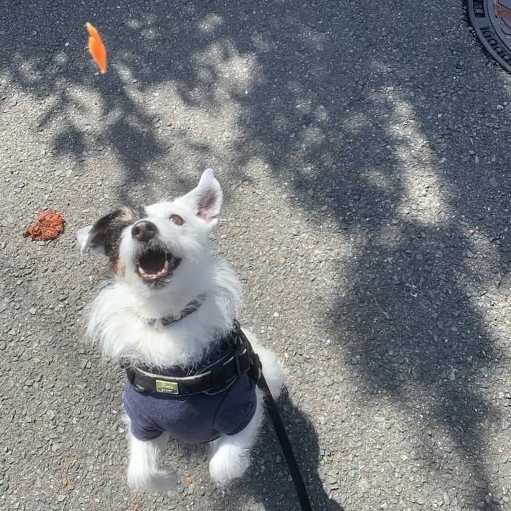 B14d3e38 5e10 4f40 8f40 f10529413ec7 1744591473123