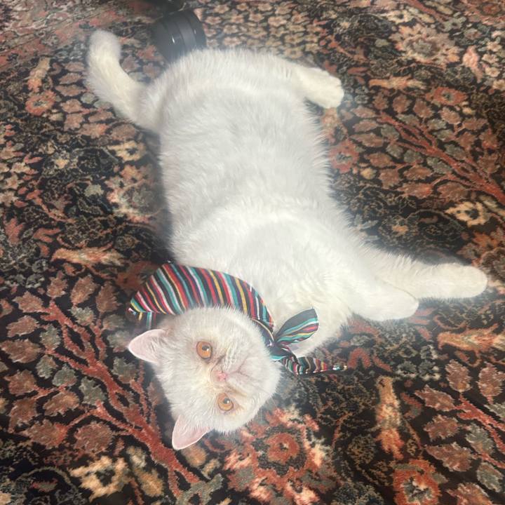 B14d6d67 7e64 45fa bc24 6008c3950eca 1755487660681