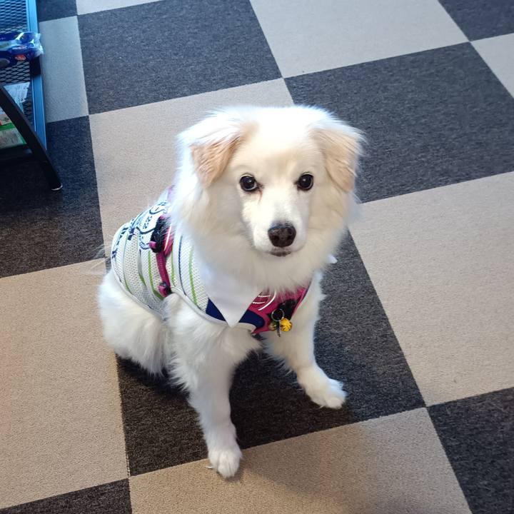 B14d9d22 8e77 4ec1 a4a2 c15f7d23caa5 1719643302651