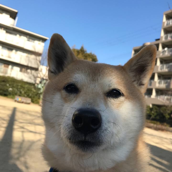 B14d9d77 c3cd 4307 a40e cb91453a6929 1519360941949