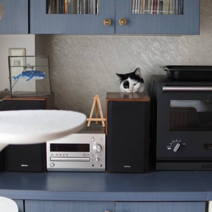 B14d9e94 40c3 450a 9fb5 af3f898b0b74 1519377083103