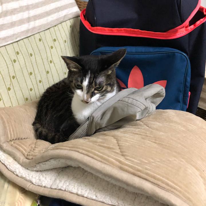 B14db3fe 758d 4db4 a378 6637434ffe36 1619449372220