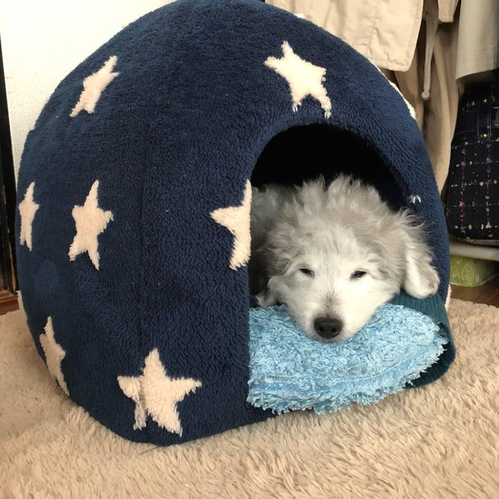 B14e5810 0ae0 4499 b1bb dd3e539c0816 1587467614812