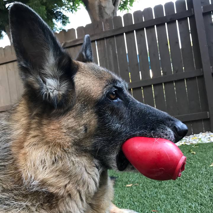 B14e92cd e125 4c58 a344 185a77a7ed7d 1529280390481