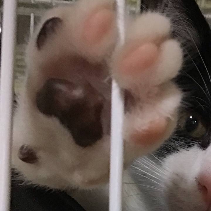 B14eb28b 5da7 48cf 803f 1afb13dd0fdd 1625823156387