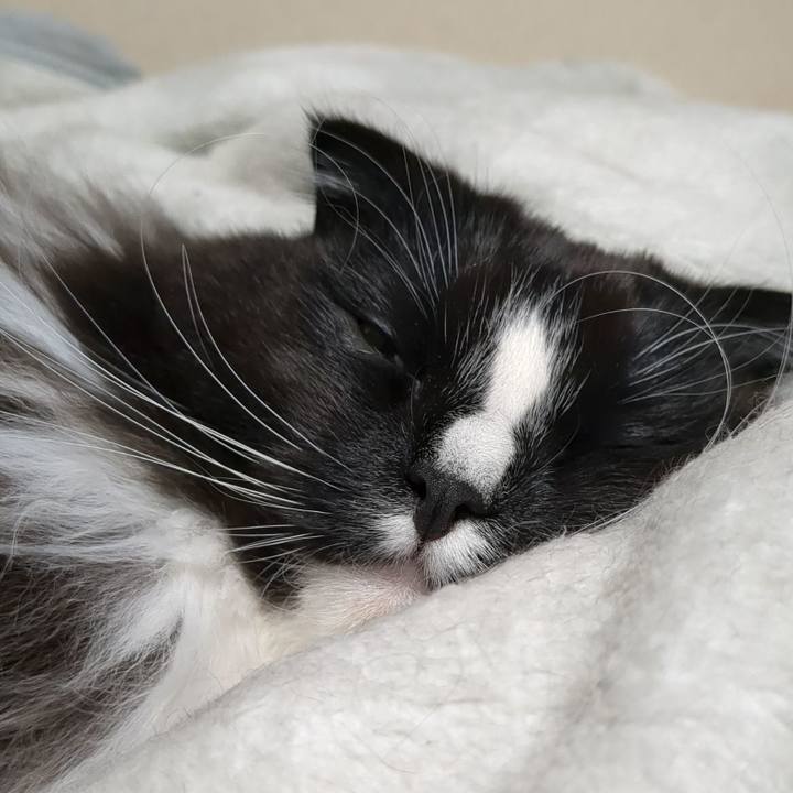 B14ed660 aa53 45b0 8a8e fd20aef504bf 1675938557734