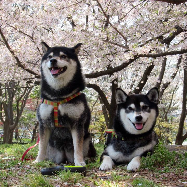 B14ef25b f4eb 4970 ad47 de1388e51ac9 1587122349867