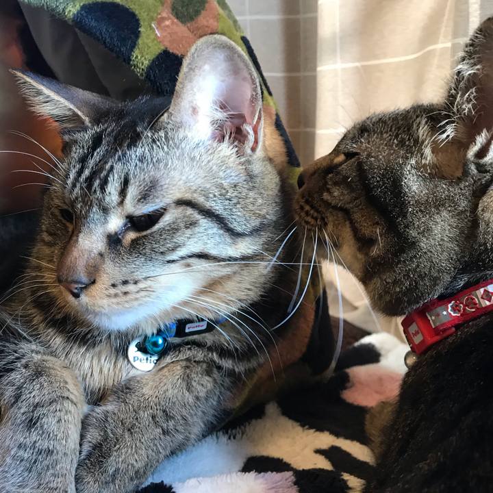 B14ef2f3 cf98 465e a84e 7c67d81cd305 1554124473677