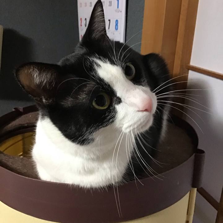 B14ef90d 4d92 4cb4 ad49 b0569af5eafe 1741771124763