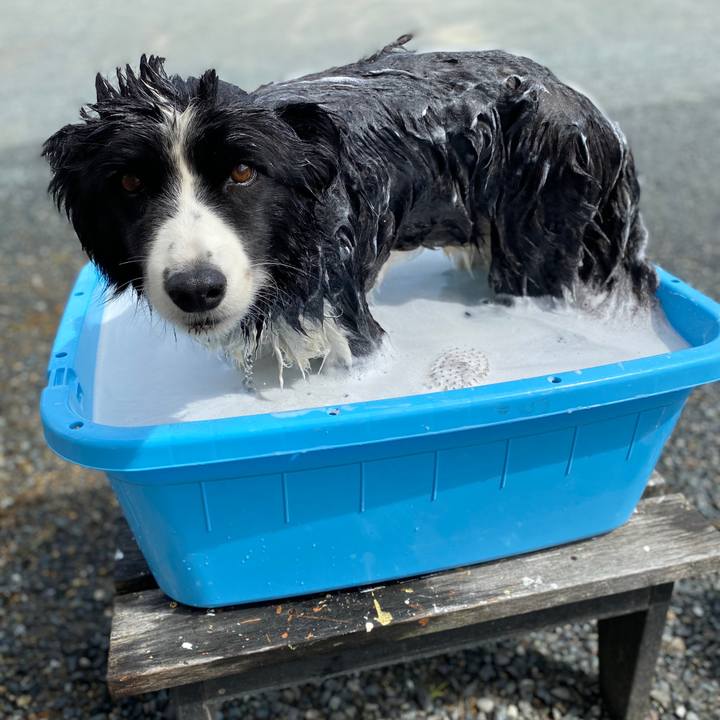 B14efb2e 7239 4dd5 95c0 c79aae245c77 1596937262972