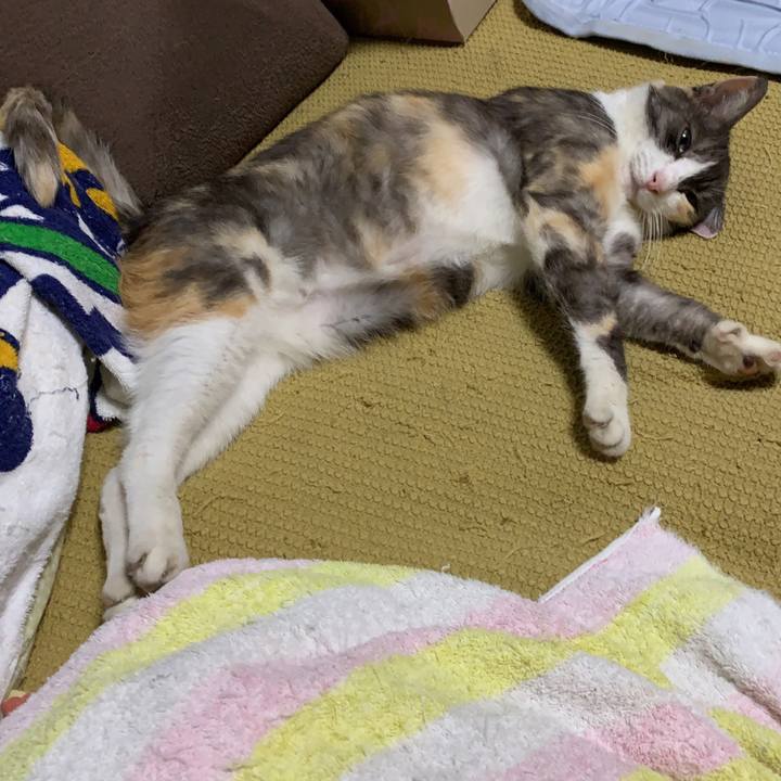 B14f2bbf 0bfd 4216 82ae 148156265a06 1566995506110