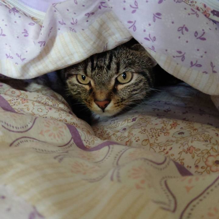 B14f41e8 3fda 48c6 a39f fe4b3ee10250 1640087647587