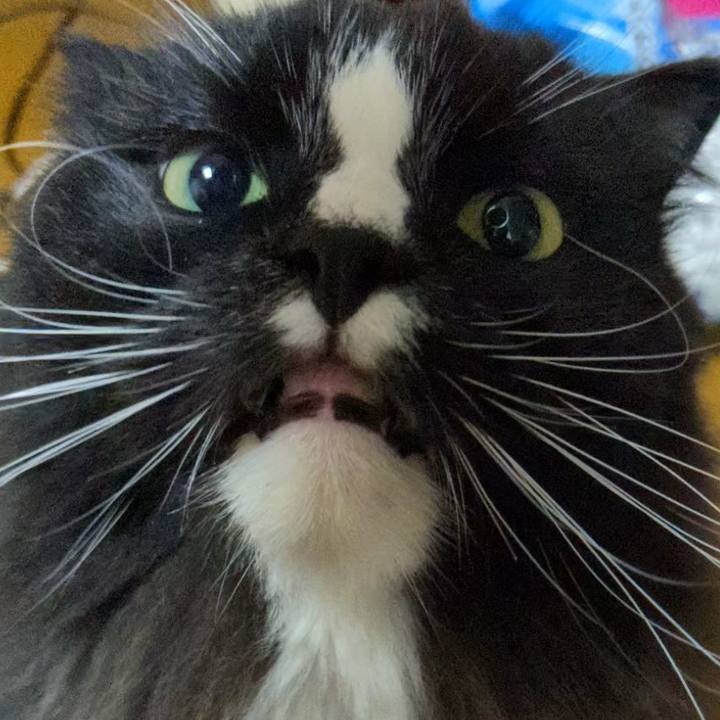 B14f44f4 724b 4cd7 9ae2 64d1fdd75d00 1732101748550